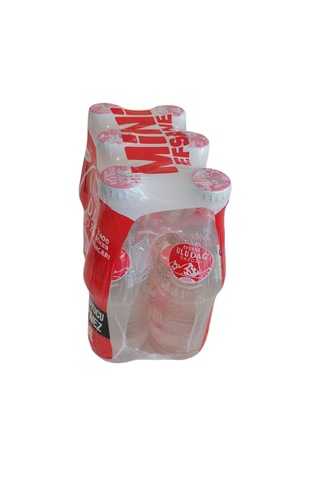 Efsane Uludağ Gazozu Mini Efsane 6x200 Ml