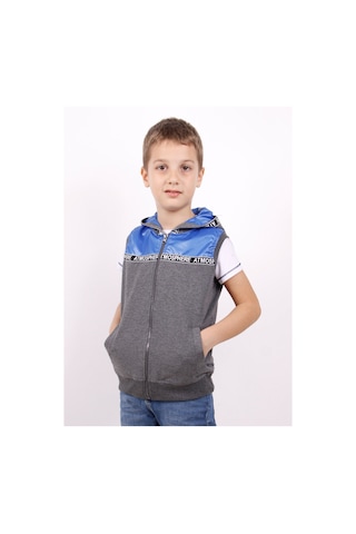 Toontoy Erkek Çocuk Şeritli Kapüşonlu Yelek Saks