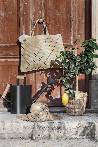 Rattan Saksı, Deniz Sazı, 19 Cm 3 Adet