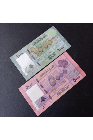 Lübnan 1000 - 5000 Livres Takım Çil Eski Yabancı Kağıt Para