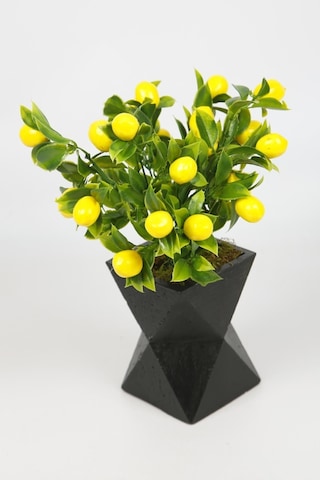 Siyah Beton Saksıda Limon Ağacı Yapay Ağaç Vazoda Yapay Bitki Kahverengi