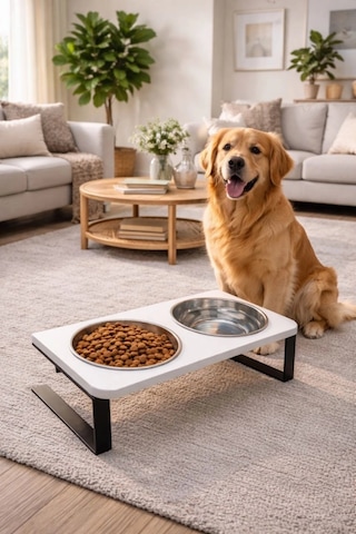 Reyo Ok-ay Store Radessa Xl Yüksek Standlı Çift Hazneli Mama Ve Su Kabı, Büyük Ve Orta Boy Köpek Ve Kedi Su Kabı Paslanmaz Çelik Beyaz