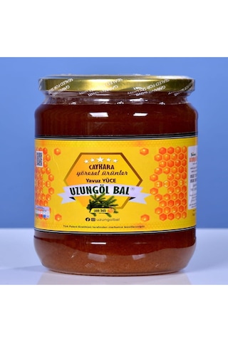 Uzungöl Bal Çam Balı 1 KG Uzungöl Bal Çam Balı 1 KG