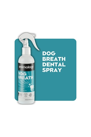 Dog Breath Köpekler İçin Ağız Ve Diş Bakım Suyu Sprey 250 Ml