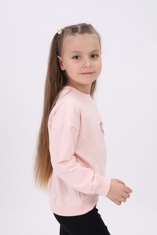 Toontoy Kız Çocuk Relax Fit Bisiklet Yaka Düşük Omuz Nakış Baskılı Sweatshirt - 2 İplik Pudra