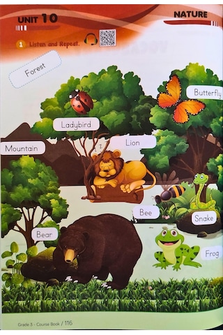 3. Sınıf İngilizce Eğitim Seti Fun & Learn