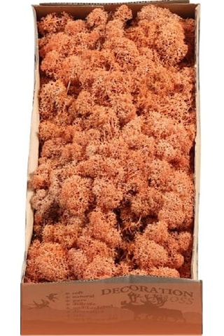 Reindeer Moss Mango Şoklanmış Norveç Yosunu 30gr