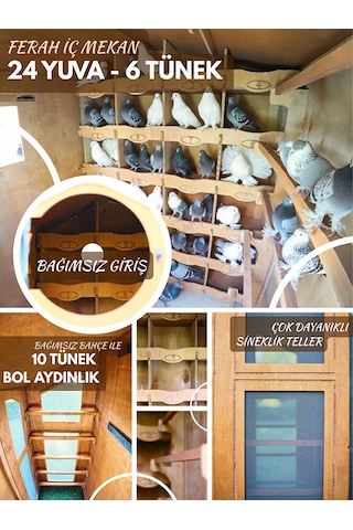 Mandu Ahşap Güvercin Kümesi