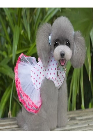 Patici Miss Pembe Çilek Tütülü Kedi Köpek Elbisesi