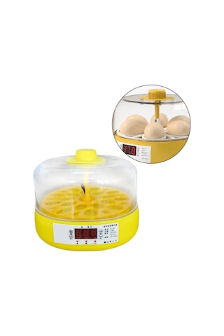 Suntek Kuşlar Için Yumurta Kuluçka Makinesi Ev Tam-otomatik