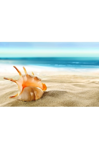 25 Kg Akvaryum Kumu Deniz Kumu Plaj Kumu Oyun Alani Kumu