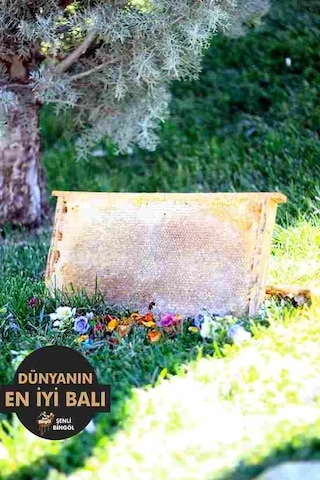 DÜZ PETEK(4KG) BAL