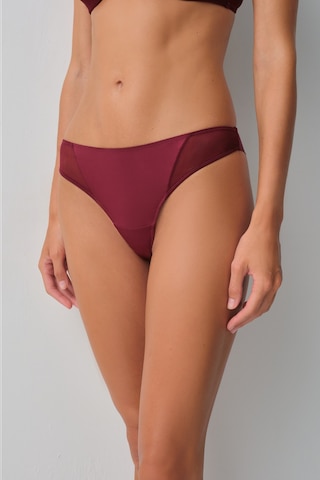 Suwen Harper Brazilian String Külot Wsl10210083020 Bordo