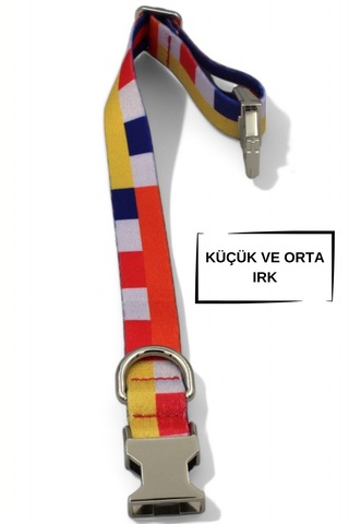 Caramelos Köpek Tasması-küçük Irk Ve Orta Irk İsimli Tasma 03 Diğer