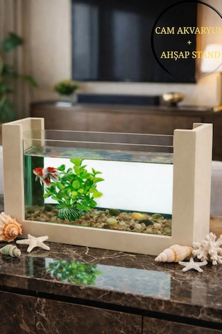Reyo Ok-ay Store Beta Balığı İçin Ahşap Mini Akvaryum Modern Şık Doğal Minimal Tasarım Akvaryum Krem