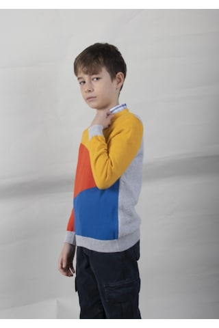 Alexandergardı Desenli Çocuk Triko Kazak C21-18677 01 001