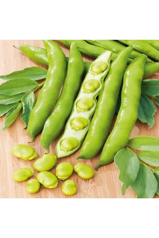 200 Adet Tohum Nadir Organik Bakla Tohumu Sürpriz Hediye Tohumludur