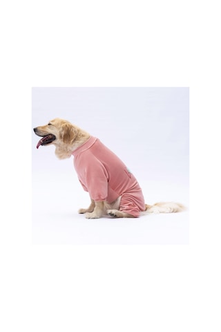 Rose Angers Büyük Irk Köpek Tulum-köpek Kıyafeti