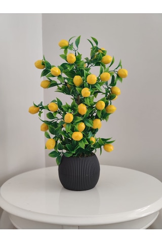 Limon Ağacı Mutfak Süsü 50 Cm Antrasit Saksıda