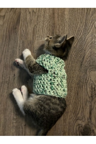 Busako Cat Özel Tasarım Kedi Kıyafeti Busako Cat Özel Tasarım Kedi Kıyafeti