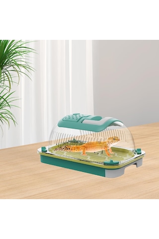 Homyl Terrapin Kaplumbağası Için Sürüngen Teraryumu