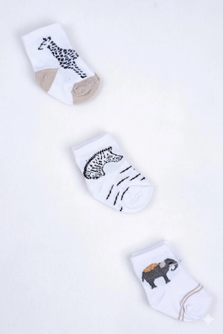 Cocole Socks Erkek Çocuk Soket Çorabı 3 Lü Set Pamuklu Safari & Hayvan Figürü Desenli Çok Renkli Cocole Socks Erkek Çocuk Soket Çorabı 3 Lü Set Pamuklu Safari & Hayvan Figürü Desenli Çok Renkli