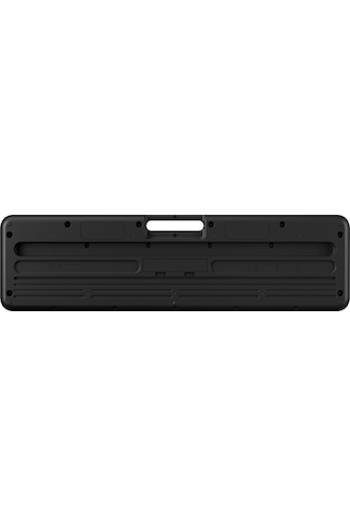 Casio Lk-s250bk Işıklı Tuş Hassasiyetli 61 Tuşlu 5 Oktav Org