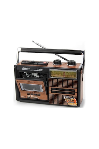Tepe Fp-319U Usb Sd Fm Radyolu Kaset Çalar Müzik Kutusu