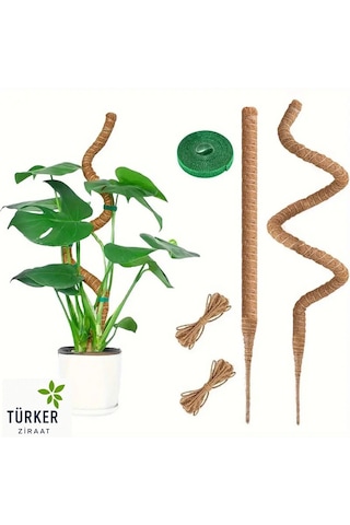 Bitki Tırmanma Braketi Sarmaşık Ve Çiçekler İçin Dayanıklı Destek Aparatı