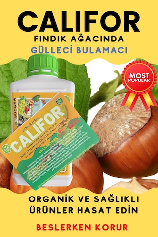 Gülleci Bulamacı 1 L
