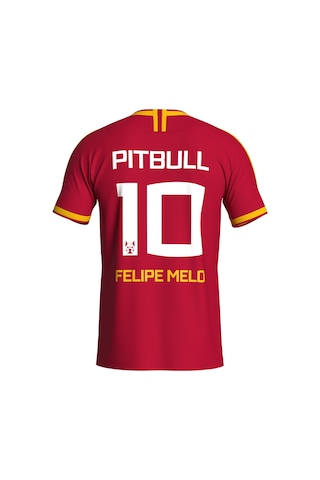 Gsstore Galatasaray Felipe Melo Legends T-shirt E232392 Sarı - Kırmızı