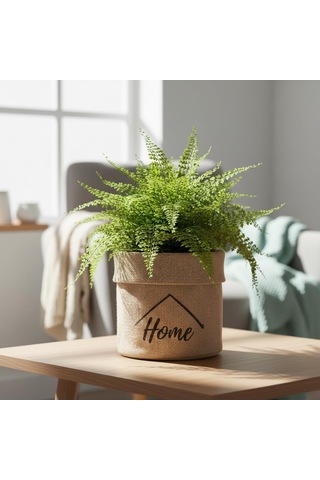 Lexroo "home" Mini Jüt Saksı Kılıfı Krem Renk Katlanabilir Kumaş Bitki Sepeti Standart