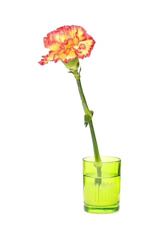 Flora Design-minimal Yeşil Cam Vazo Yeşil