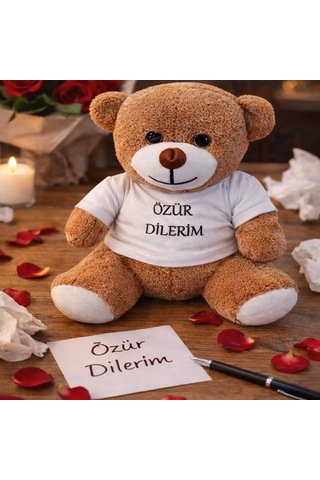 Özel Seri Anlamlı Armağan Romantik Sürpriz Kalıcı Hatıra Özür Dilerim Tişörtlü Peluş Ayıcık Çok Renkli