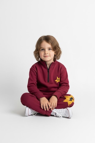 Fermuar Detaylı Şimşek Baskılı 2 Li Takım Bordo