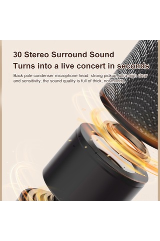 Geeroyoo Retro Taşınabilir Şarkı Söyleme Hoparlörü, Çift Mikrofonlu, Beyaz Renk, Bluetooth 5.3, Sd Kart Ve Aux Girişi