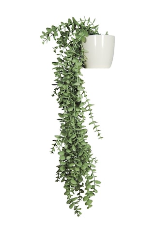 Yapay Çiçek Maxi Boy Beyaz Saksılı Pastel Yeşili Okaliptus Sarkıtı Çok Renkli