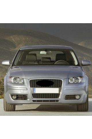 Audi A3 2004-2008 Anti Alerjen Klima Polen Filtresi 1k1819669