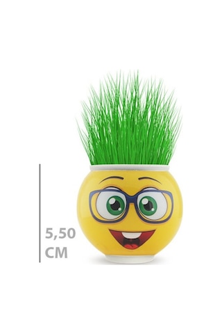 Veraura Lifestyle Çim Adam Saksı Emoji Figürlü 1 Adet Sarı