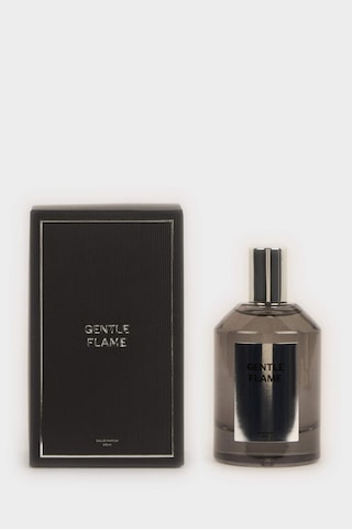 Defacto Erkek 100 ml Parfüm H1479AXNS