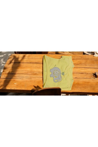 Bebek İkili Takım Renkli