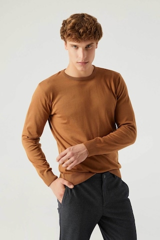 D's Damat Regular Fit Camel Tüylenme Yapmayan Bisiklet Yaka Triko Kazak Camel
