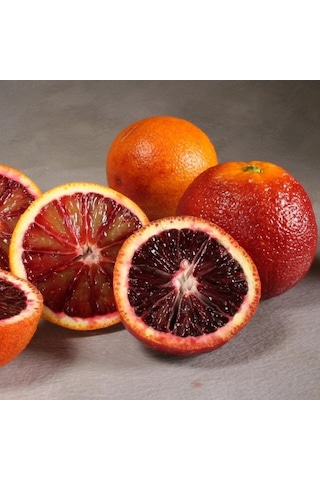 Tüplü Aşılı Blood Orange Içi Dışı Kırmızı Portakal Fidanı