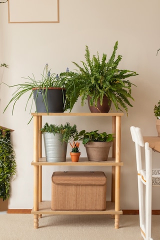 Concept 2 Raflı Organizer Kitaplık Banyo Mutfak Dolabı Balkon Ofis Düzenleyici Ahşap Nature