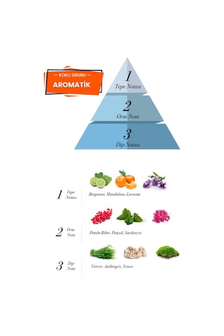 Prova Dear Savage Aromatik Erkek Parfüm EDP 120 ML