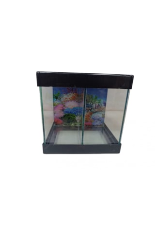 Betta Akvaryumu İki Bölmeli 20 Cm 5 Litre Siyah Renk