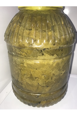 Salamura Yaprak 5 KG