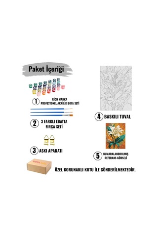 Sayılarla Boyama Tuval Hobi Seti Gramafon Temalı Fırça Ve Boya Dahil Set Çıtalı 40x50 Cm Kendin Yap Sayılarla