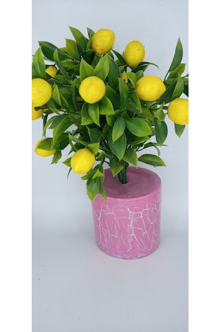 Yapay Limon Ağacı Pembe Çatlatma