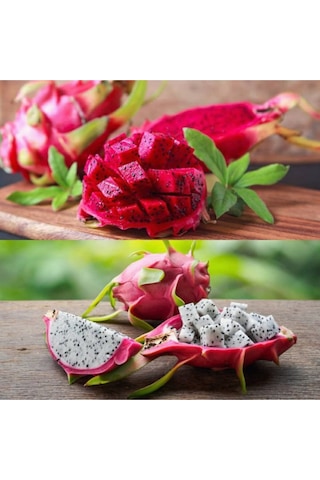 15 Adet Bodur Pitaya Tohumu Ejder Meyvesi Tohumu